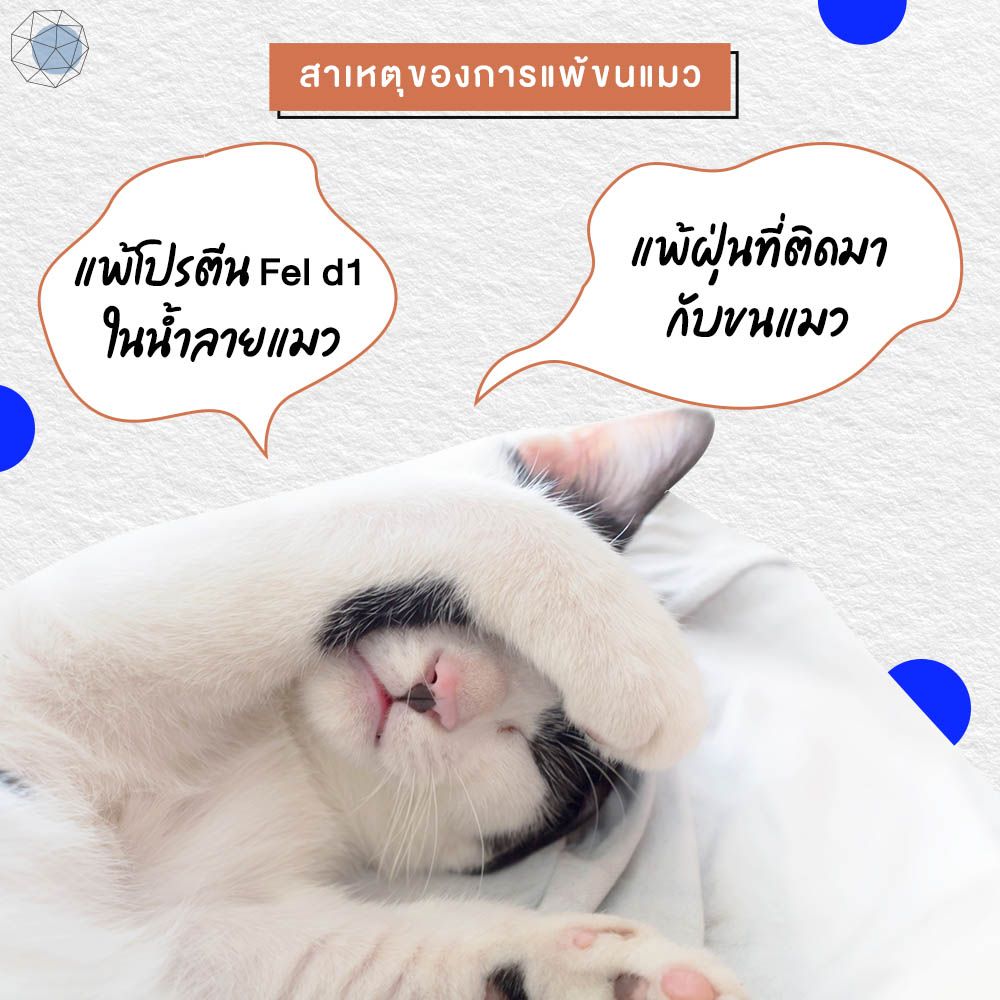 My Image 17