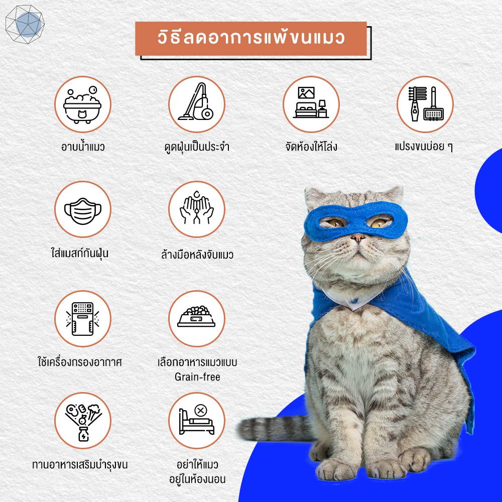 My Image 37