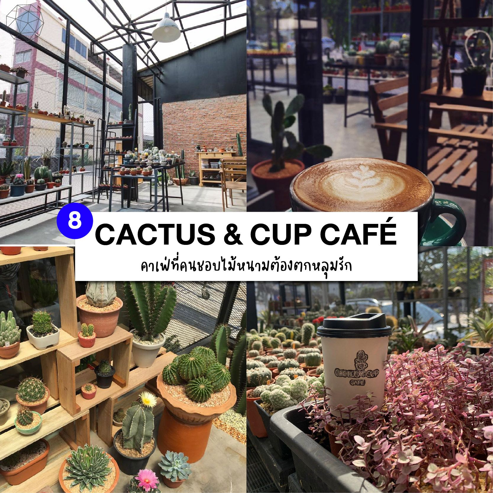คาเฟ่บางนา CACTUS & CUP CAFÉ