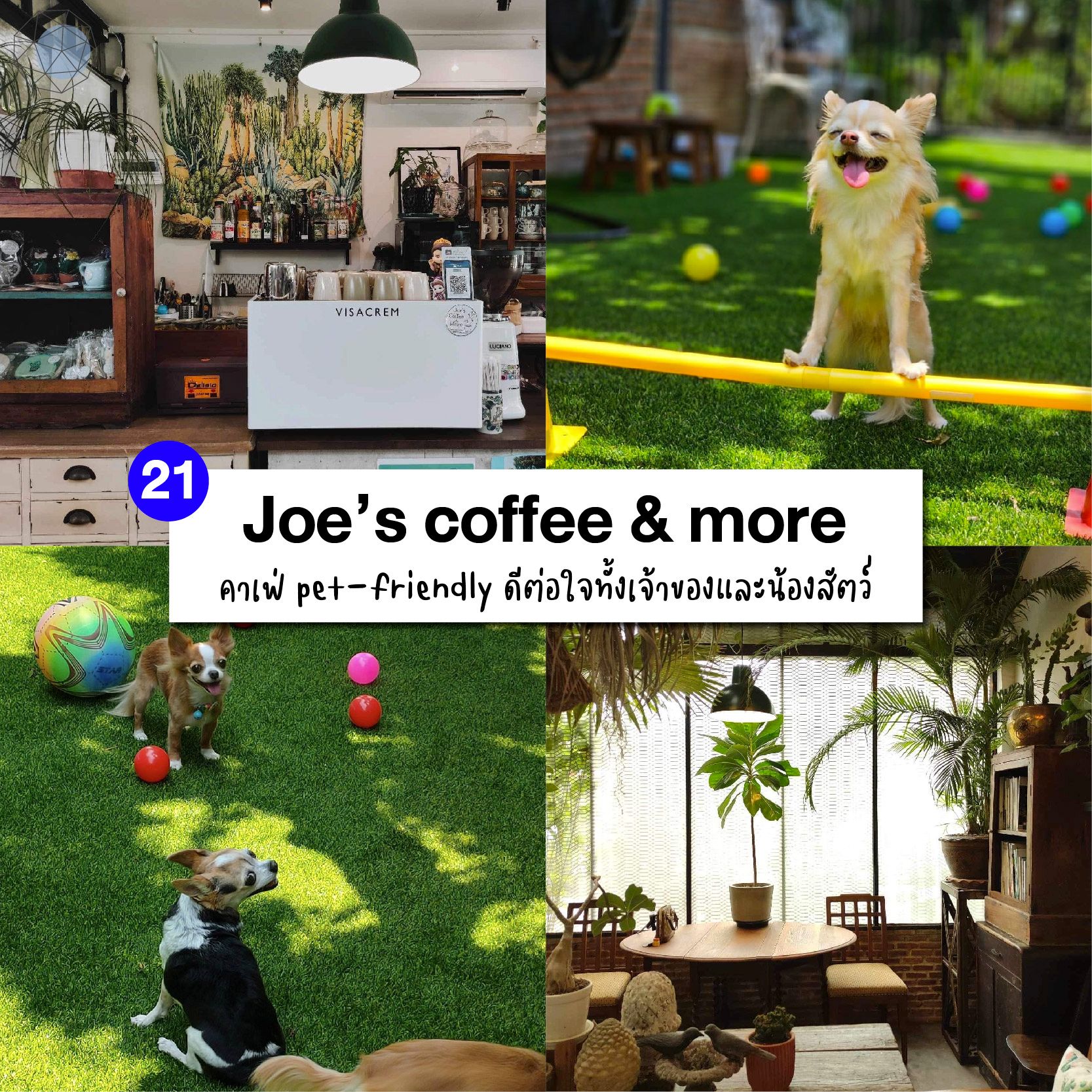 คาเฟ่บางนา Joe’s coffee & more