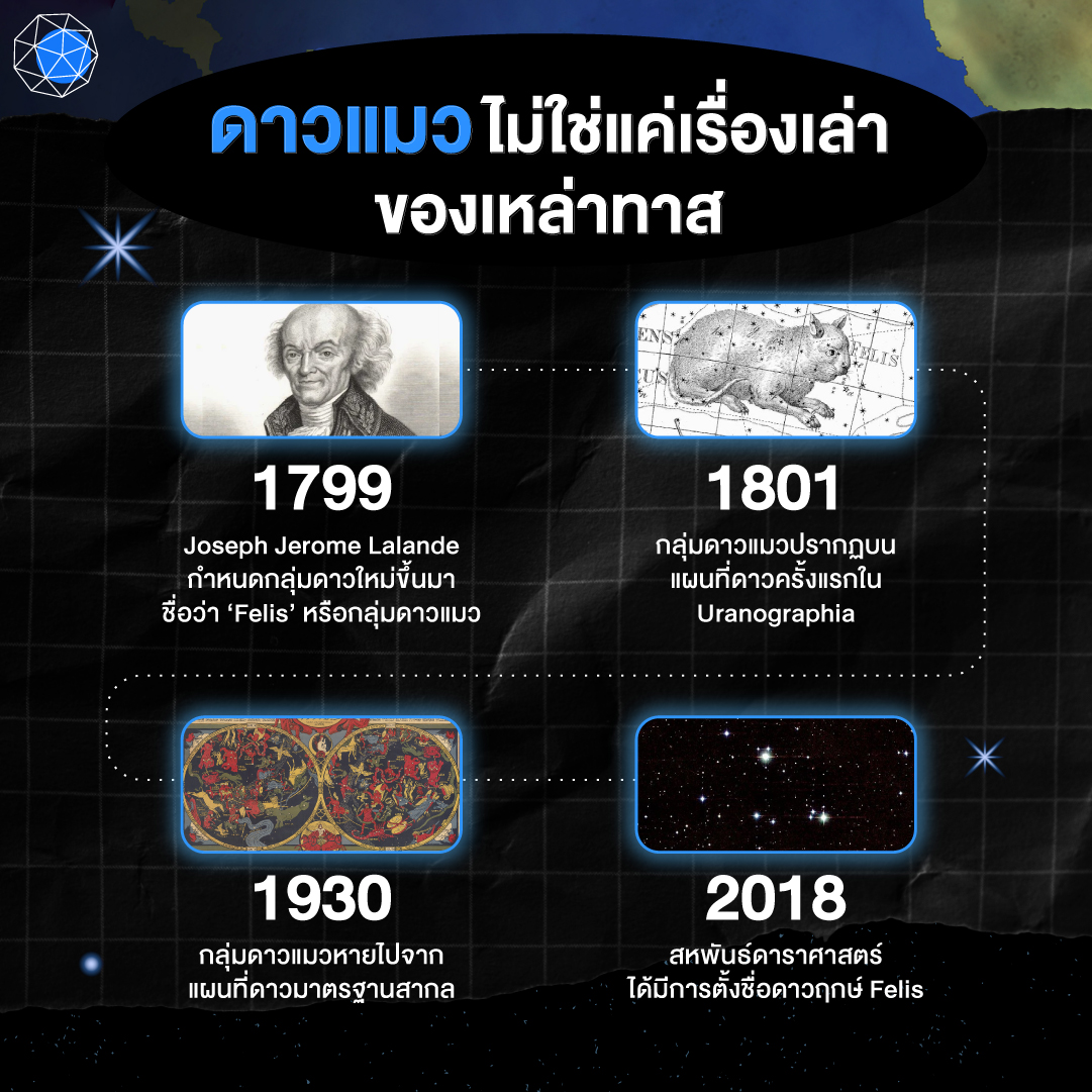 ประวัติ ดาวแมว