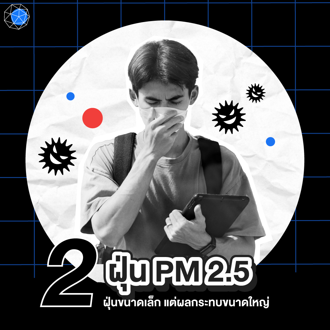 เทรนด์สุขภาพ 2025 ฝุ่น PM 2.5