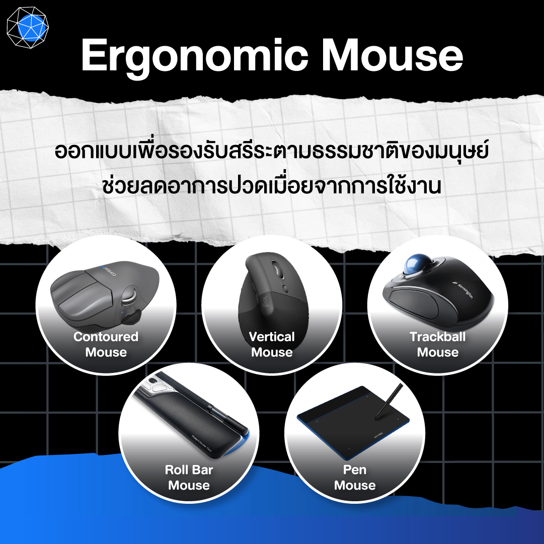 Ergonomic Mouse คือ