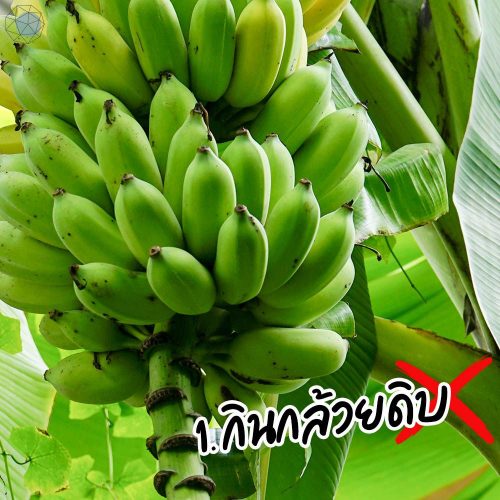 My Image 38